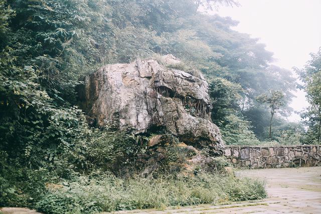 成都周边避暑胜地，夏季平均气温28度，山间云雾缭绕非常漂亮