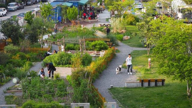 借由对土地的凝视与传承，他们在城市与自然之间建起“通道”