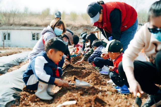 借由对土地的凝视与传承，他们在城市与自然之间建起“通道”