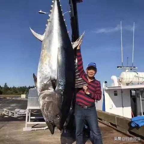 网红海钓圣地，鱼种最多的海域之一，中国最南端的领土-曾母暗沙