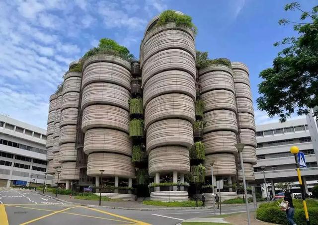 新加坡南洋理工大学（NTU）管理经济学中文（MME-C）项目录取数据