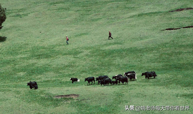 国庆去秘境阿纳果，睡帐篷、看日出星空、围炉夜话