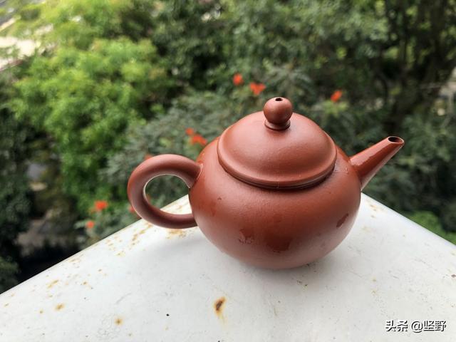 旅游险没准保我们一命哦