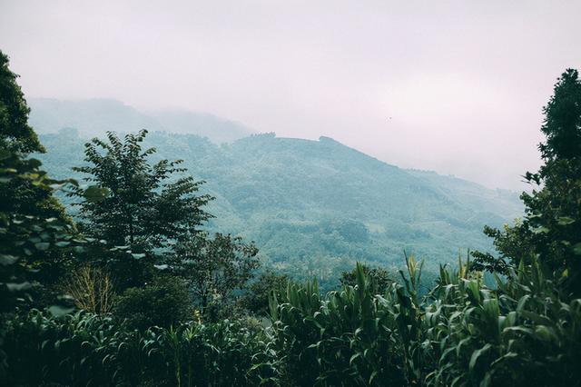 成都周边避暑胜地，夏季平均气温28度，山间云雾缭绕非常漂亮