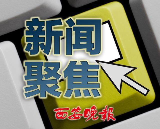 （新华国际时评）哈里斯“葫芦里的药”为何卖不出去