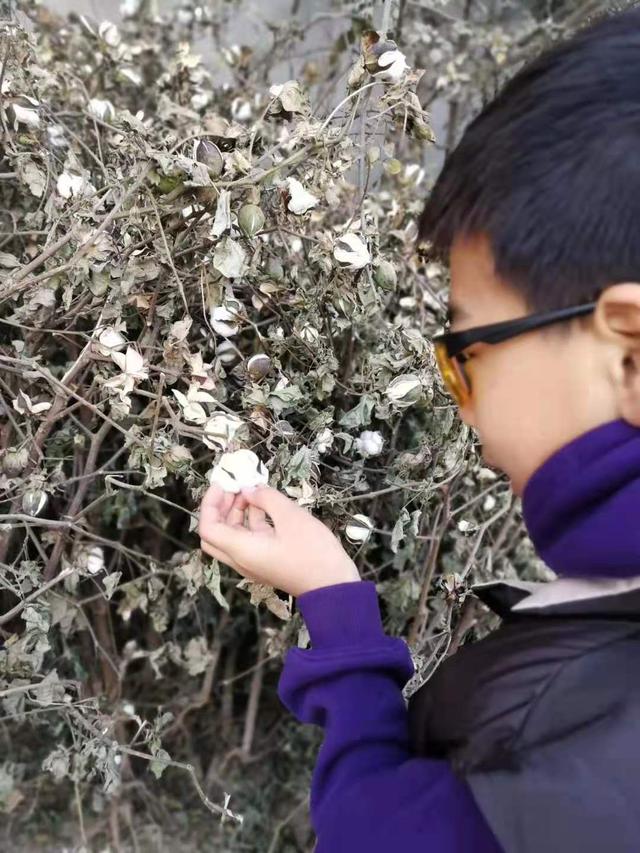 童年送给男孩最好的礼物是什么？