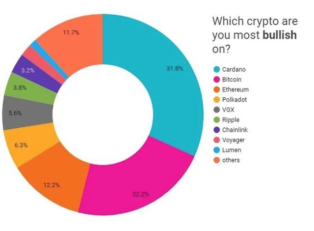 超越BTC和ETH，ADA成美散户最受欢迎加密货币