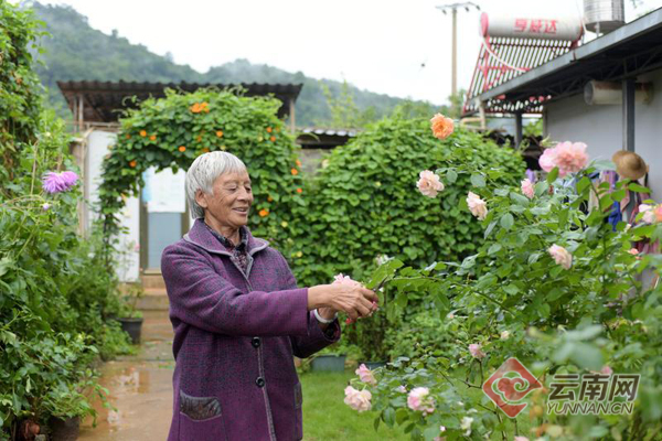 云南镇康：罗大妈家的“生物多样性”