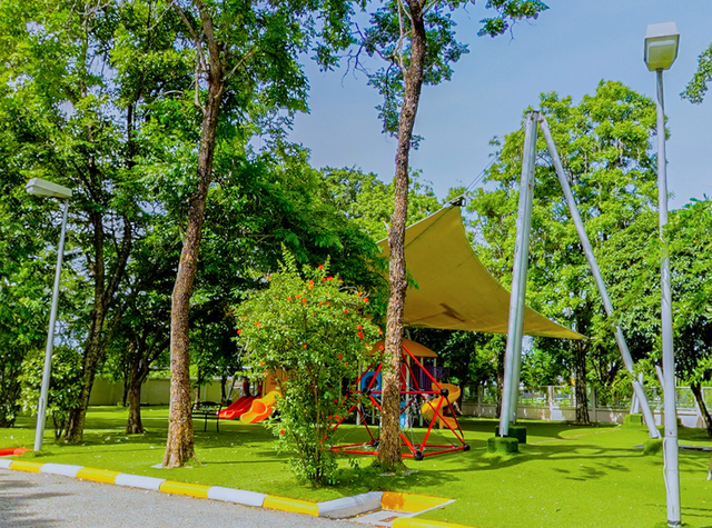 泰国留学热门专业推荐！选到就是赚到