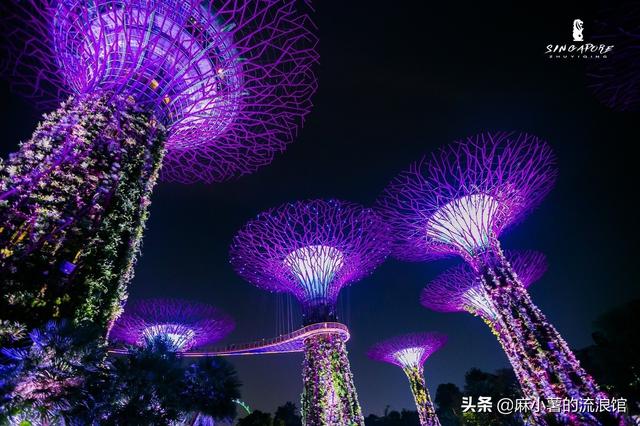 新加坡最美夜景秀，在造价10亿的超级花园中听百老汇，却免费开放