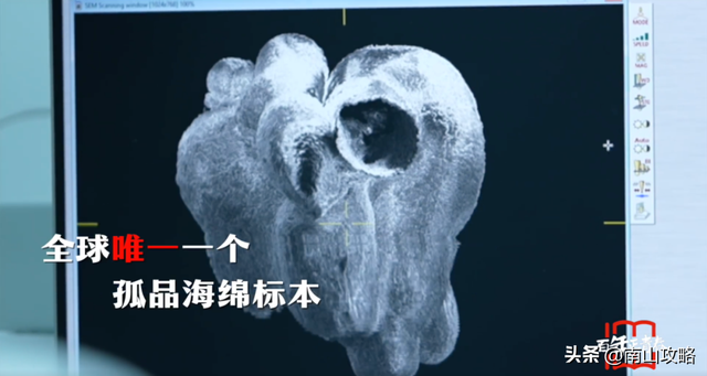 环球影城终于来了！中秋放假安排已出，放了但没完全放