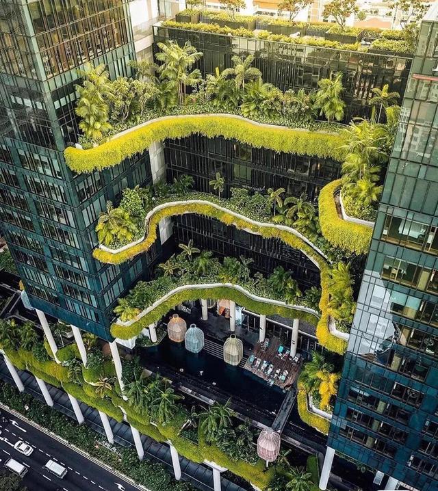 新加坡东亚管理学院真的有那么水嘛？