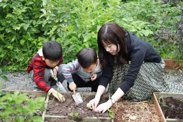 借由对土地的凝视与传承，他们在城市与自然之间建起“通道”