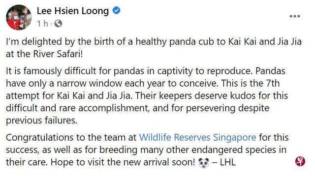 旅新加坡大熊猫七夕诞下首只宝宝 李显龙：想见