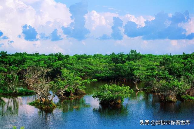 大好河山：海口——这里可以见到海南最初的模样