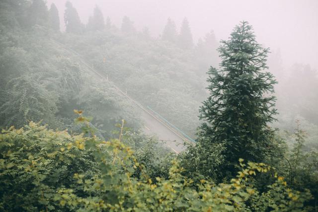 成都周边避暑胜地，夏季平均气温28度，山间云雾缭绕非常漂亮