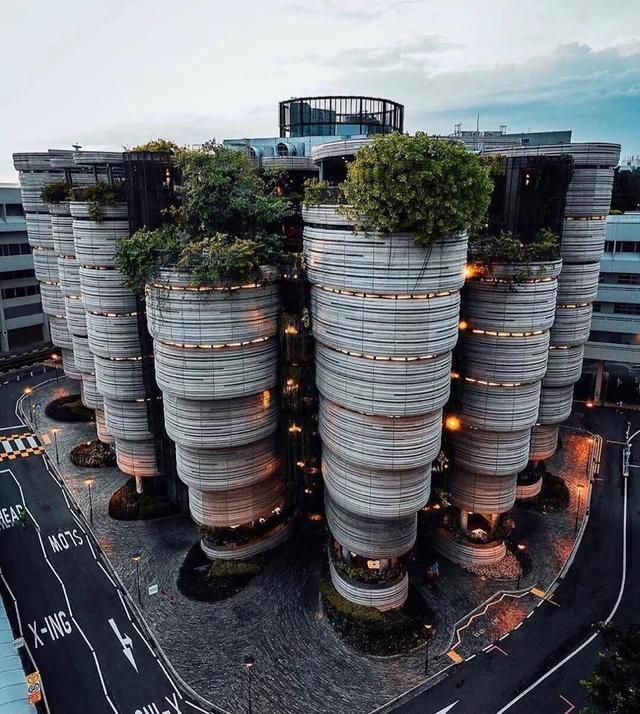 新加坡留学生租房攻略 速看‼️