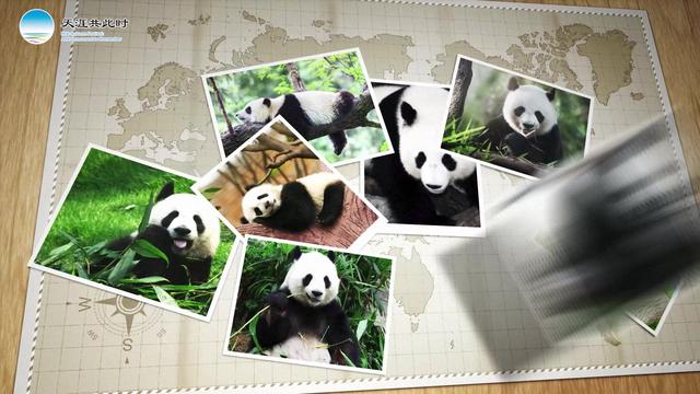 2021年“天涯共此时—中秋节”：“月满中秋”中国地方特色文化之旅微纪录片《四川大熊猫家园之旅》
