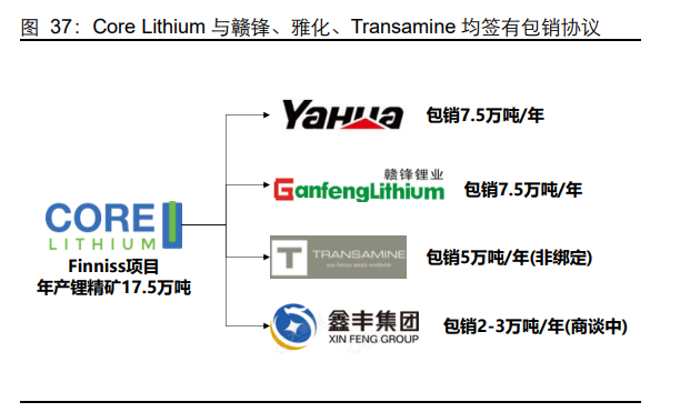 锂行业跟踪报告：站在新的周期，再看全球锂辉石矿