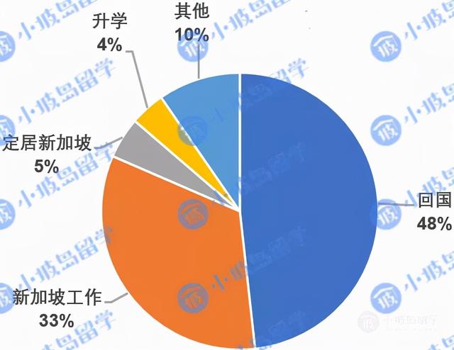 新加坡高校硕博申请及录取情况