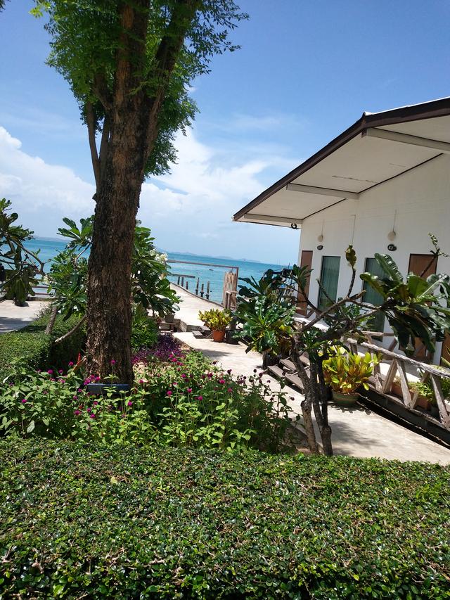 选择新加坡留学专升本有哪些要求？