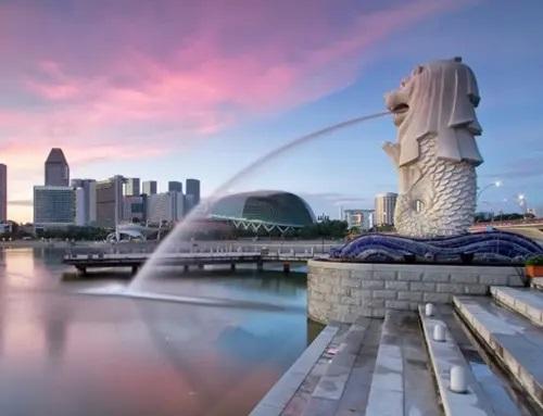 新加坡解禁中国江苏入境，收紧新西兰入境政策