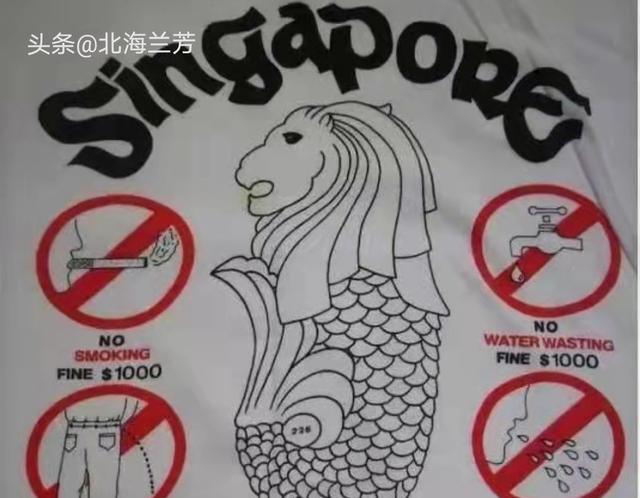 走近新加坡丨政府控烟
