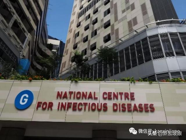 新加坡辉瑞公司感染群大增17起；两客工宿舍一幼儿园出现感染群