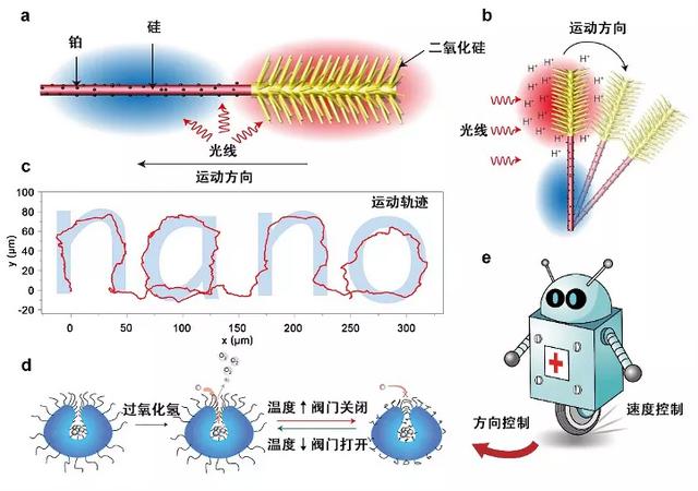 比“蚁人”还小的纳米机器人，正走在抗肿瘤的路上