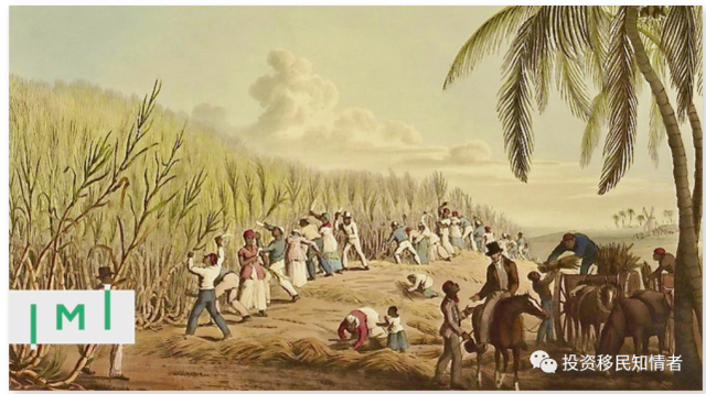 不要相信美国领事馆不接受脱籍预约的谣言