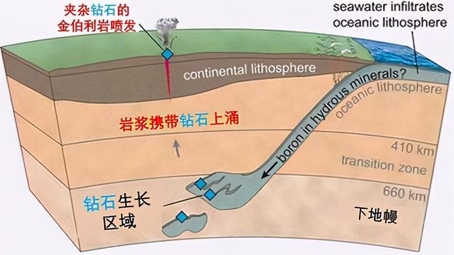 5%渗透率门槛定律：培育钻石要火了