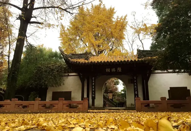 宜居宜业，何以成都