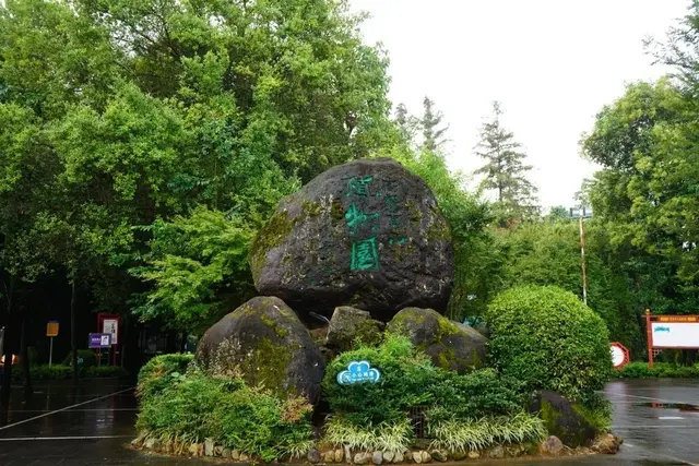 腾冲周边游丨植物园里的美人蕉