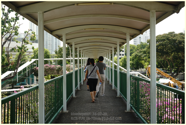 曾经大学30——新加坡国立大学（NUS）