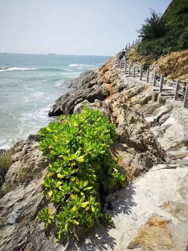 「阳江海陵岛北洛秘境」错峰特价~¥499入住独特海景双床房，自助早餐｜天际泳池+地面泳池+山体公园｜临海栈道+尊属沙滩