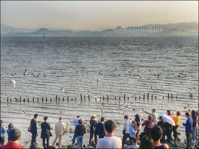 戒烟笔记（四）