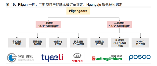 锂行业跟踪报告：站在新的周期，再看全球锂辉石矿