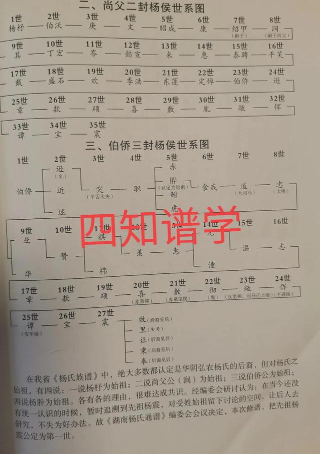 杨姓的起源