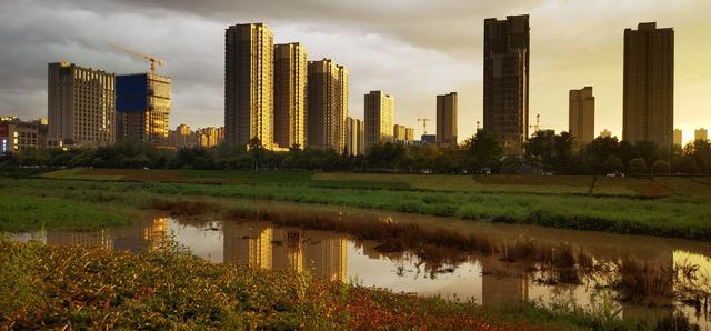 青悦读 | 家住浐河边