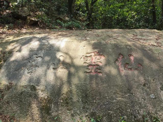 清源鼎峙，山秀庙古——泉州游记4