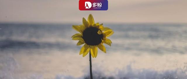 出海教中文，能否再造「新东方」？