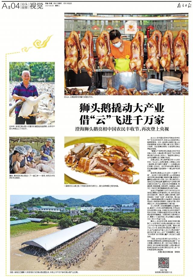 视觉 | 狮头鹅撬动大产业