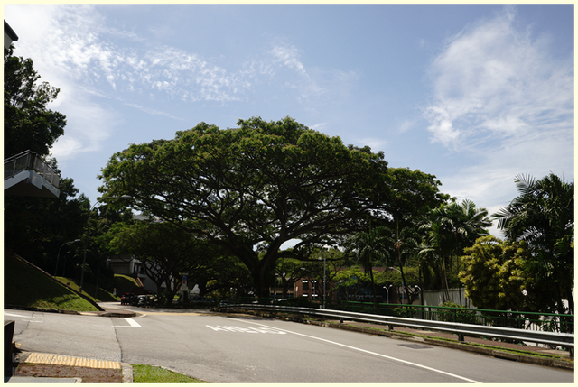 曾经大学30——新加坡国立大学（NUS）