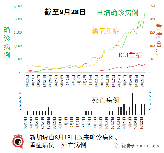 新加坡“抗疫韧性”排名大跌；冠病口服药最快年内问世