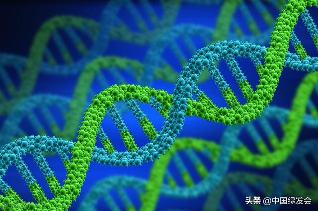 “2022世界基因公约大会”将在日本大阪举行！绿会国际部受邀参加