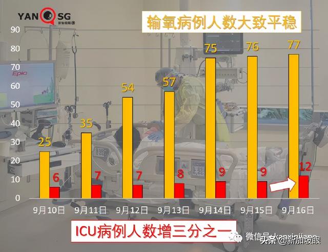 卫生部长：每个与冠病共存的国家，都必须经历“传播潮”