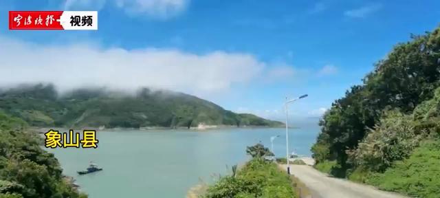 浙江首次记录！宁波象山发现“迷路”孤鸟