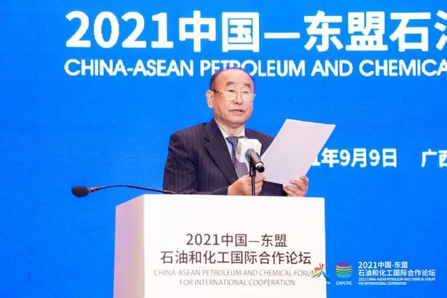 李寿生：中国—东盟应深化五大重点石化领域合作
