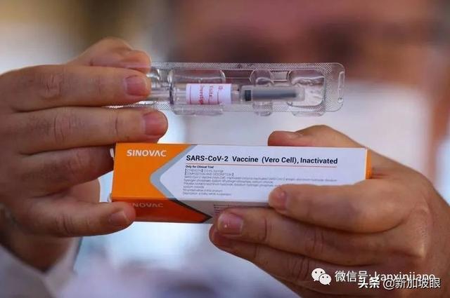 中国男子为了在新加坡堂食伪造接种证明，被判坐牢三周