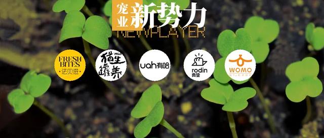 这 5 家宠物初创品牌中，有一家来自奔驰造车跨界团队 | 新势力专栏